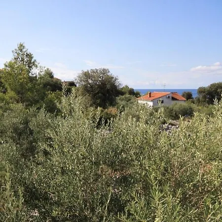 With Parking Space Razanj, - 8360 Apartment *