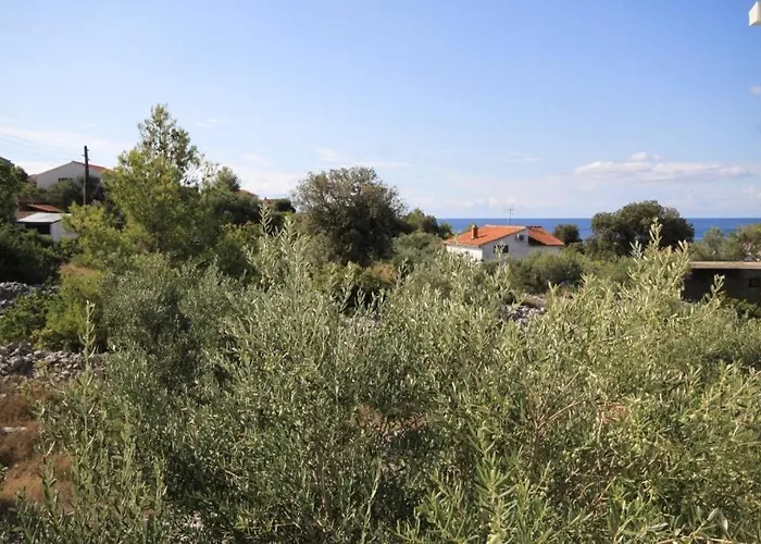 With Parking Space Razanj, - 8360 Daire *